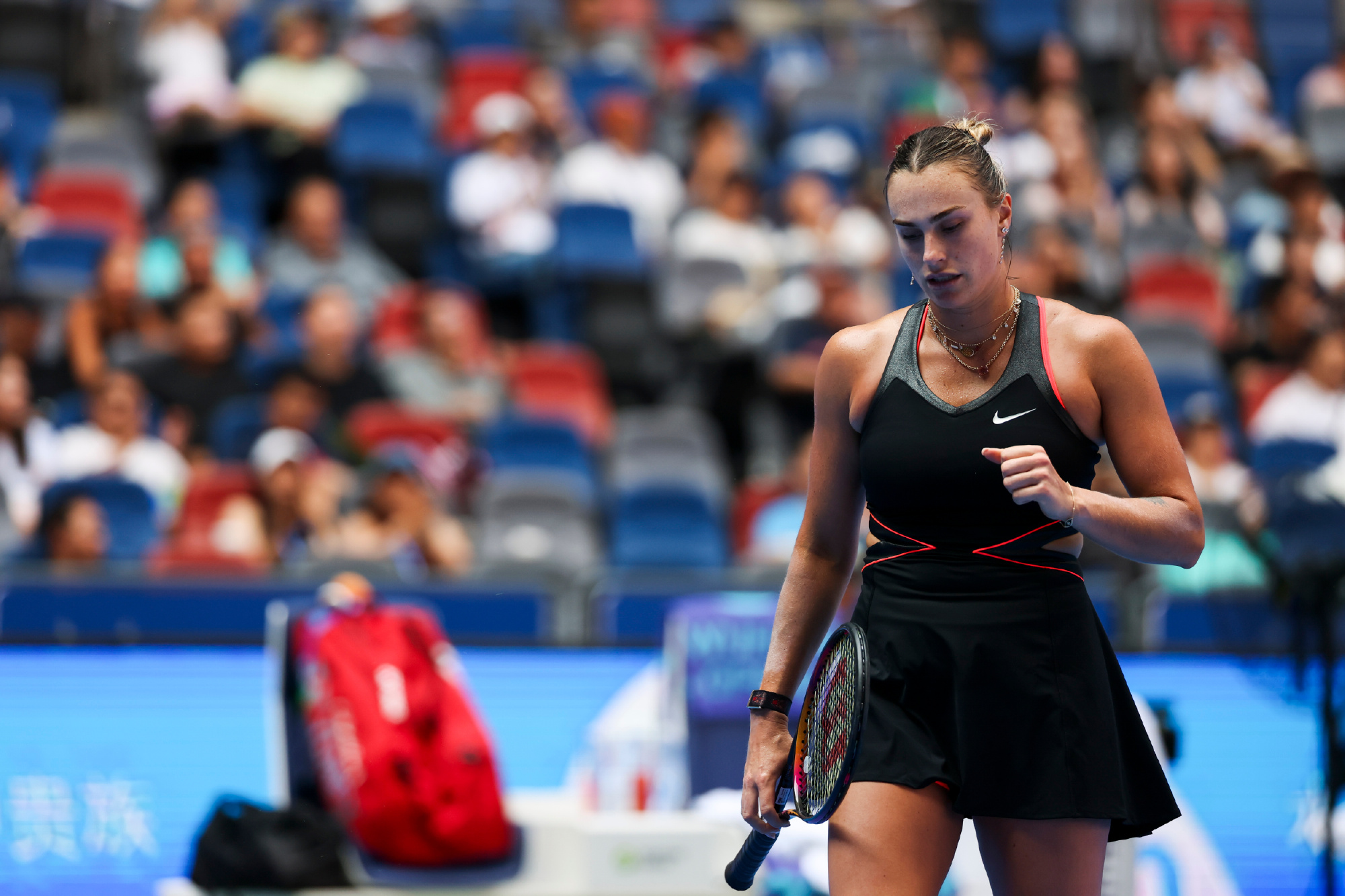 全媒体独播, msn 全媒体独播, msn